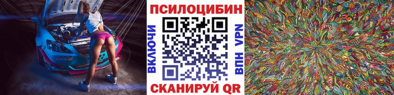 Псилоцибиновые грибы прущие грибы  hydra вход  Гурьевск  дарнет шоп 