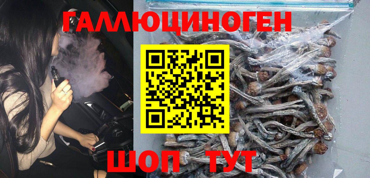 Псилоцибиновые грибы прущие грибы Гурьевск